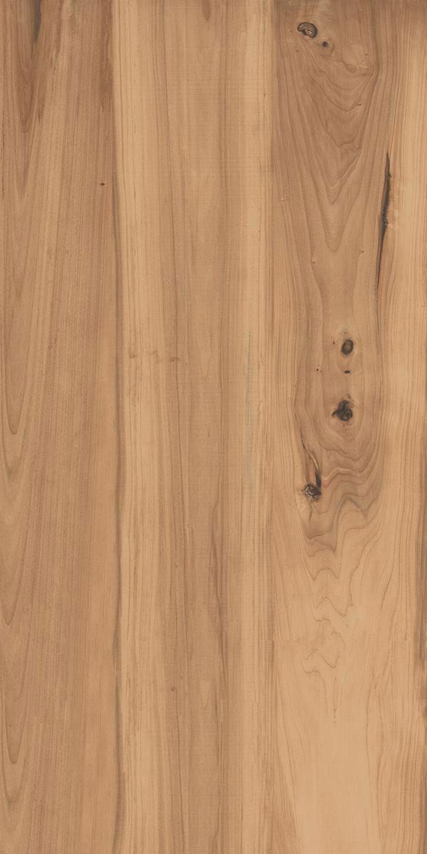BEECH BROWN F1